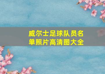 威尔士足球队员名单照片高清图大全