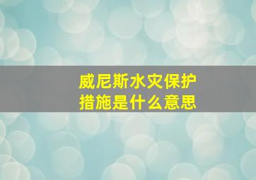 威尼斯水灾保护措施是什么意思