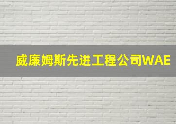 威廉姆斯先进工程公司WAE