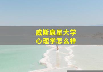 威斯康星大学心理学怎么样