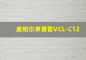 威柏尔单簧管VCL-C12