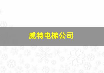 威特电梯公司