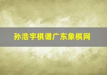 孙浩宇棋谱广东象棋网