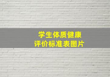 学生体质健康评价标准表图片