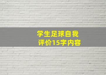 学生足球自我评价15字内容