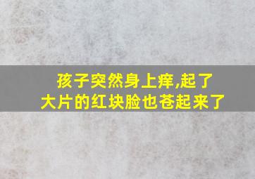 孩子突然身上痒,起了大片的红块脸也苍起来了