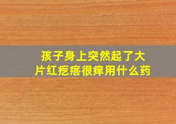 孩子身上突然起了大片红疙瘩很痒用什么药