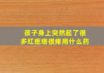 孩子身上突然起了很多红疙瘩很痒用什么药