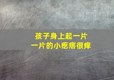 孩子身上起一片一片的小疙瘩很痒