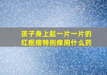 孩子身上起一片一片的红疙瘩特别痒用什么药