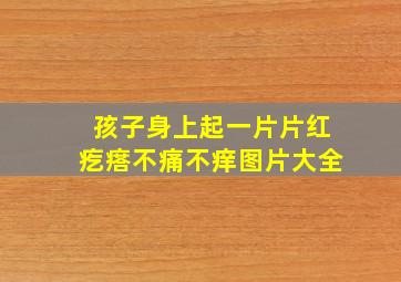 孩子身上起一片片红疙瘩不痛不痒图片大全