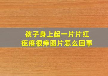 孩子身上起一片片红疙瘩很痒图片怎么回事