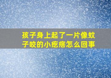 孩子身上起了一片像蚊子咬的小疙瘩怎么回事