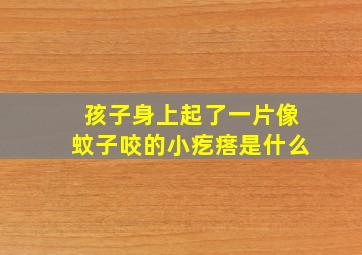 孩子身上起了一片像蚊子咬的小疙瘩是什么