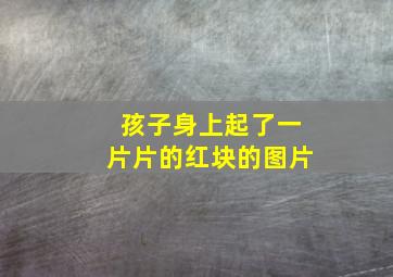 孩子身上起了一片片的红块的图片