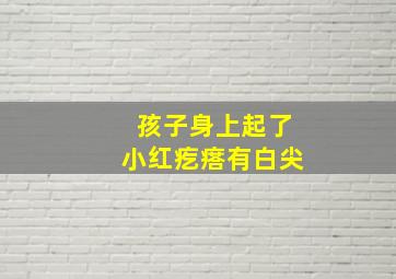 孩子身上起了小红疙瘩有白尖