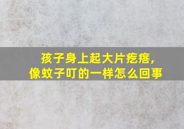 孩子身上起大片疙瘩,像蚊子叮的一样怎么回事