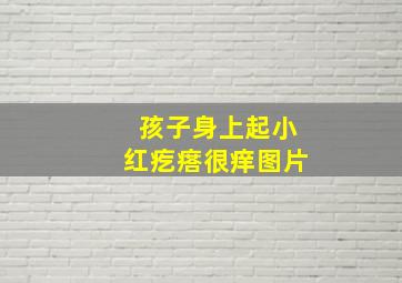 孩子身上起小红疙瘩很痒图片