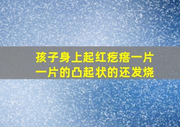 孩子身上起红疙瘩一片一片的凸起状的还发烧