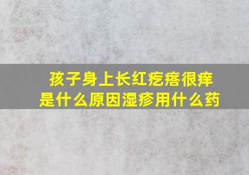 孩子身上长红疙瘩很痒是什么原因湿疹用什么药