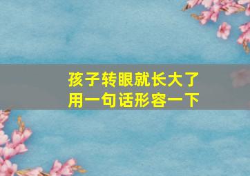 孩子转眼就长大了用一句话形容一下