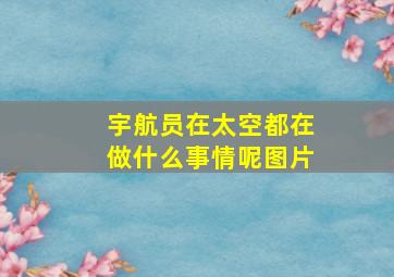 宇航员在太空都在做什么事情呢图片