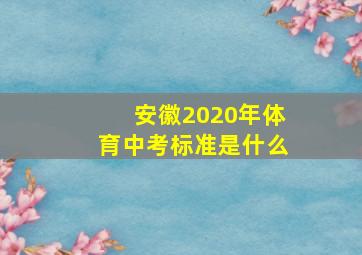 安徽2020年体育中考标准是什么