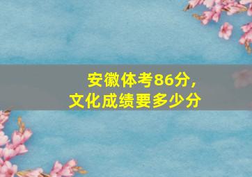 安徽体考86分,文化成绩要多少分