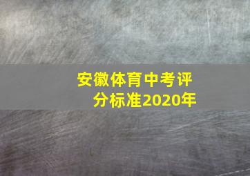 安徽体育中考评分标准2020年