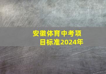 安徽体育中考项目标准2024年