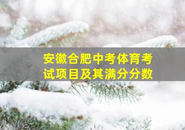 安徽合肥中考体育考试项目及其满分分数