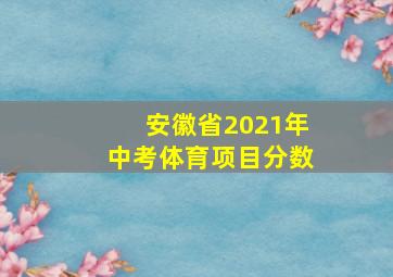 安徽省2021年中考体育项目分数