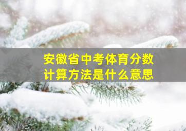 安徽省中考体育分数计算方法是什么意思