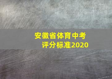 安徽省体育中考评分标准2020