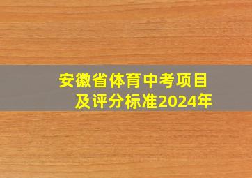 安徽省体育中考项目及评分标准2024年