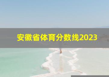 安徽省体育分数线2023