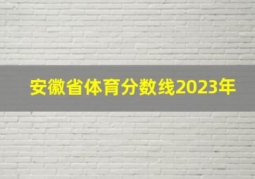 安徽省体育分数线2023年