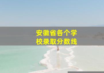 安徽省各个学校录取分数线