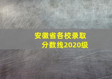 安徽省各校录取分数线2020级