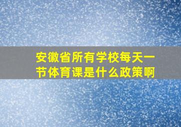 安徽省所有学校每天一节体育课是什么政策啊