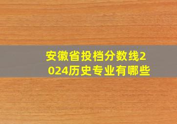 安徽省投档分数线2024历史专业有哪些