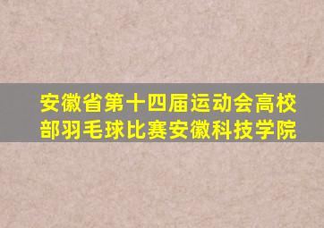 安徽省第十四届运动会高校部羽毛球比赛安徽科技学院