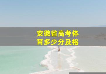 安徽省高考体育多少分及格