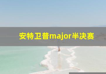 安特卫普major半决赛