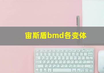 宙斯盾bmd各变体