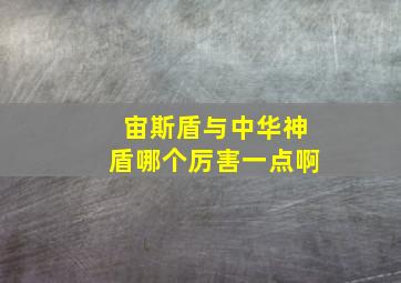 宙斯盾与中华神盾哪个厉害一点啊