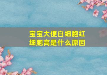 宝宝大便白细胞红细胞高是什么原因