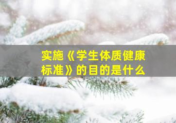 实施《学生体质健康标准》的目的是什么