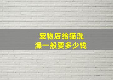 宠物店给猫洗澡一般要多少钱