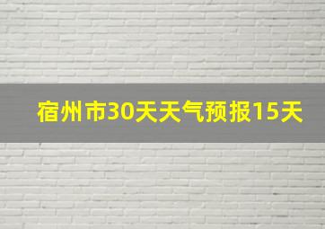 宿州市30天天气预报15天